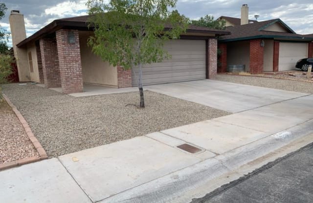 528 Thrush - 528 Thrush Drive, Las Vegas, NV 89145