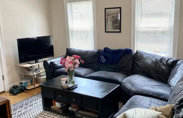 171 Thorndike Street - 1