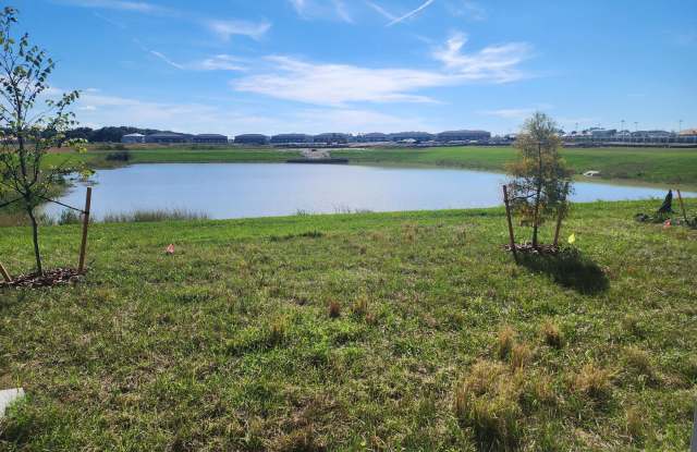 32118 Pond Apple Bnd