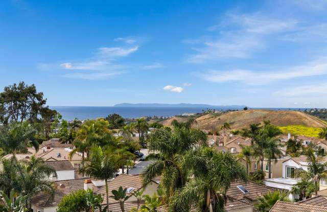 1056 Calle del Cerro Unit 901