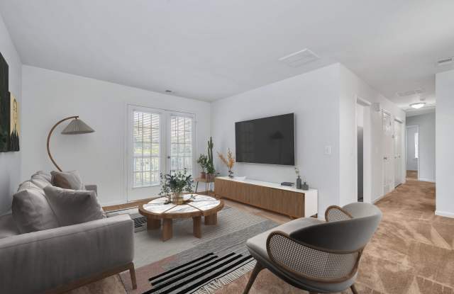 Photo of Spark Culpeper