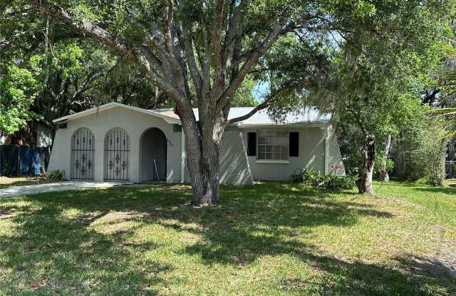 21367 ANDERSON ROAD - 21367 Anderson Road, North Brooksville, FL 34601