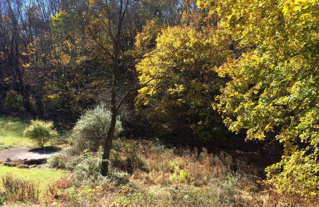 AVAILABLE NOW! Economical home with wood floors, Palisades Schools, laundry, gas heat