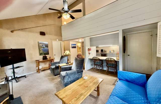 Winter Rental – Mountain Shadows, Center of Town