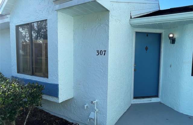 307 LAKE PLACID COURT