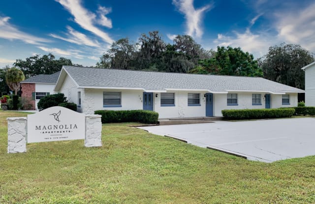 100 S 11th St - 100 South 11th Street, Leesburg, FL 34748