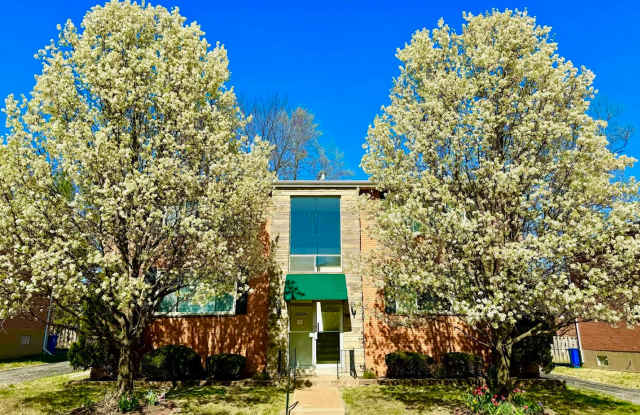 Photo of 4244 Fatima Dr