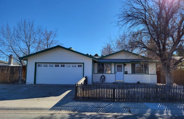 1053 Armory - 1053 Armory Lane, Carson City, NV 89701