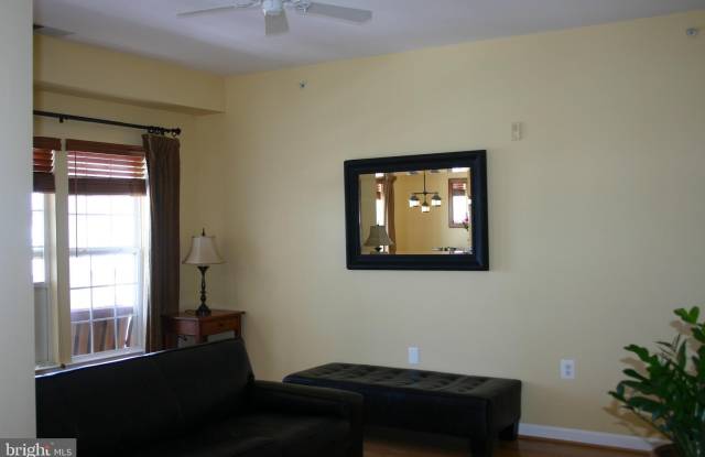 22706 BLUE ELDER TERRACE