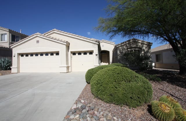 355 W Sacaton Canyon Drive - 355 West Sacaton Canyon Drive, Oro Valley, AZ 85755