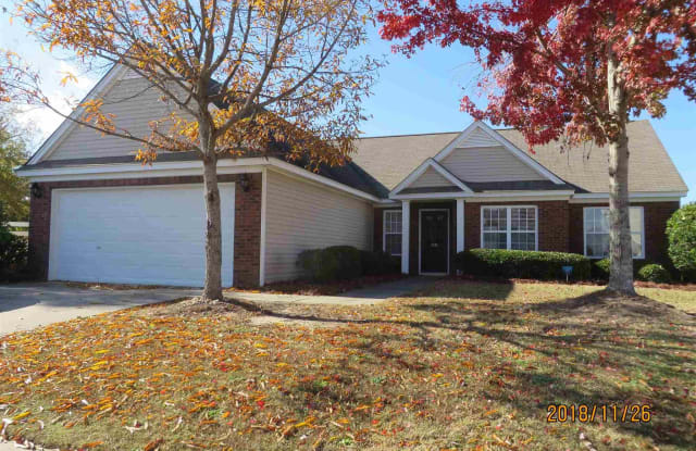 301 Barnevelder Drive - 301 Barnevelder Drive, Lexington County, SC 29072