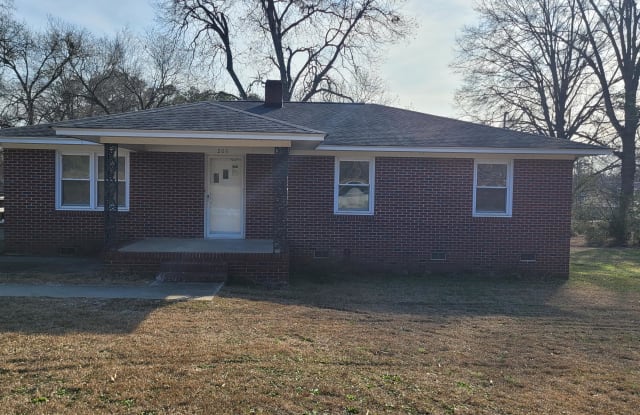 206 Columbia Avenue - 206 Columbia Avenue, Chapin, SC 29036