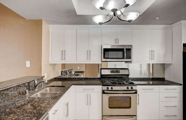 210 East Flamingo Road #301 - 1