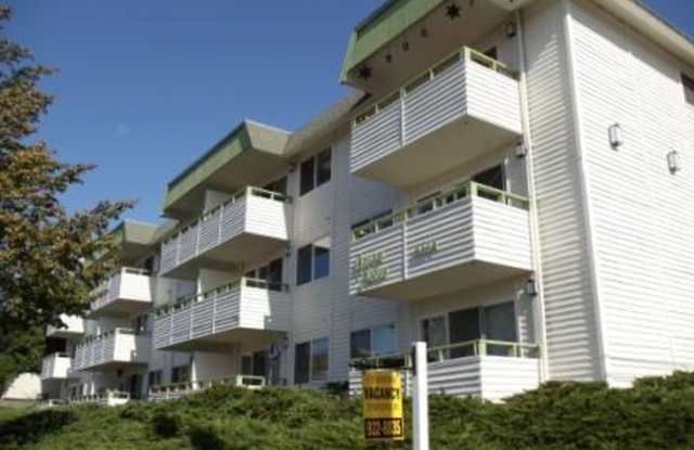 Mid-Century Modern West Seattle Apartment