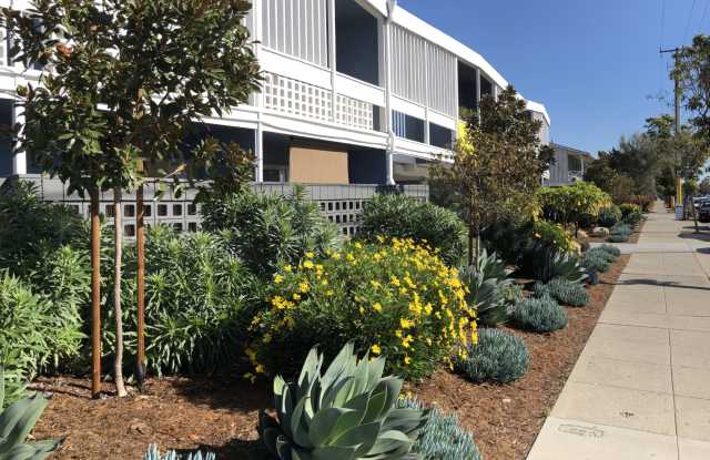 Otis Terrace Apartments