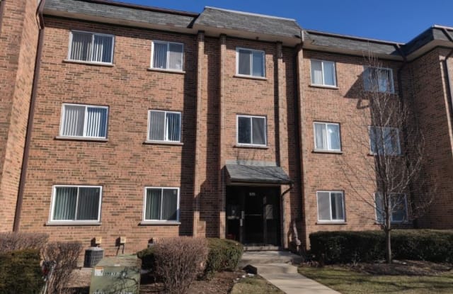 925 Casey Ct Unit 4 - 925 Casey Court, Schaumburg, IL 60173