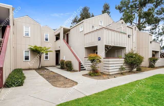 166 Monte Verano Court