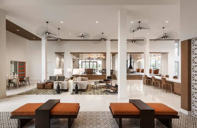 Roadrunner on McDowell