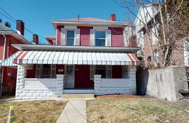 Spacious 4 bed 2 bath home in Mt. Oliver!