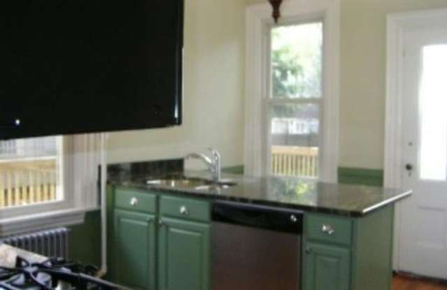 All the festivities in this backyard !