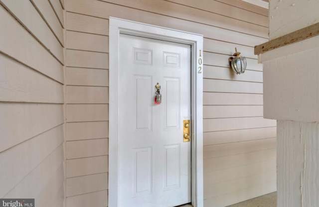 14324 CLIMBING ROSE WAY