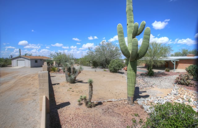 5215 N Camino Del Gato - 5215 North Camino Del Gato, Picture Rocks, AZ 85743