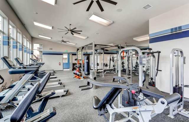 Lakeview Towers at Belmar