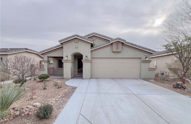 8215 Buffalo Ranch Avenue - 8215 Buffalo Ranch Avenue, Spring Valley, NV 89147