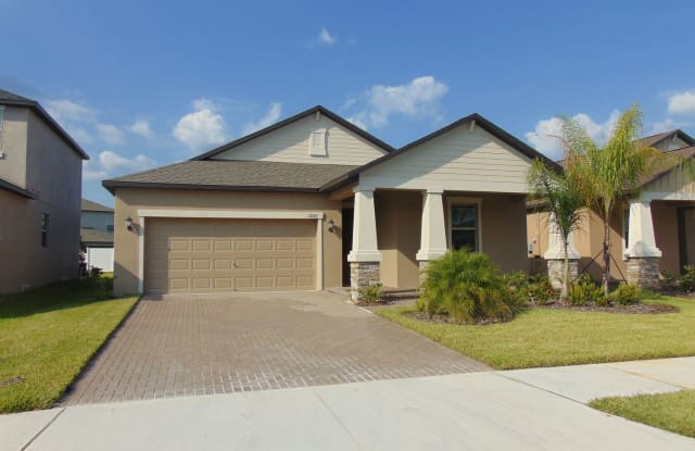 13222 Satin Lily Drive - 13222 Satin Lily Drive, Riverview, FL 33579