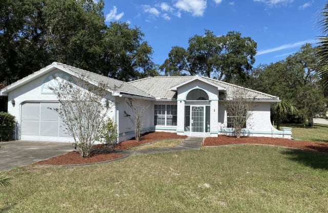 8117 Rhanbuoy Road - 8117 Rhanbuoy Road, Spring Hill, FL 34606