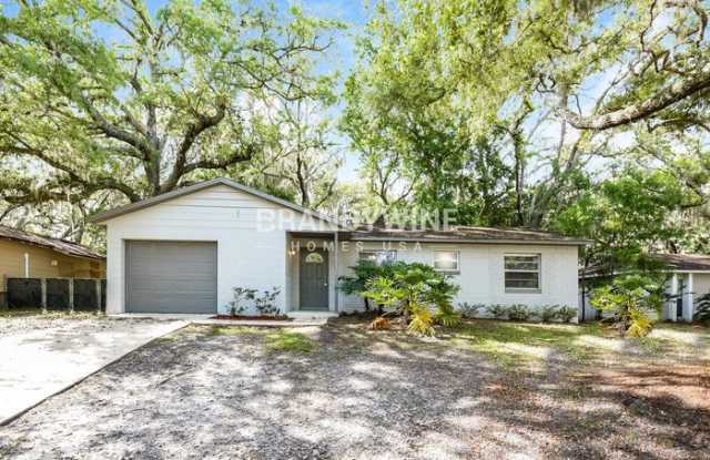 10126 Crozier Court - 10126 Crozier Court, Orange County, FL 32817