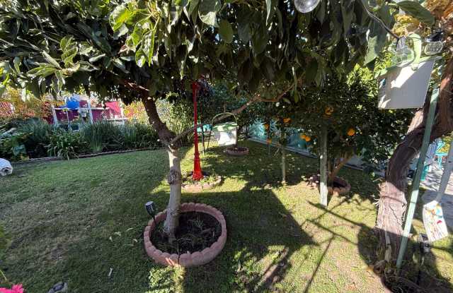 All-Inclusive Studio for Rent in Tarzana!