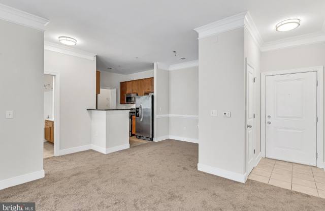 5400 AUTH Road unit: 337