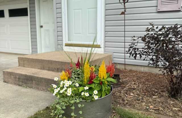 Newly Refreshed 3 Bedroom 1 Bath Single Family Home Apply now and we will pay your application fee!