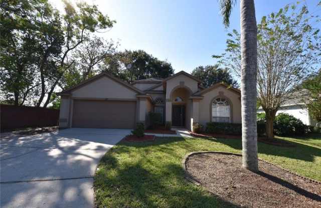 300 BALOGH PLACE - 300 Balogh Place, Longwood, FL 32750