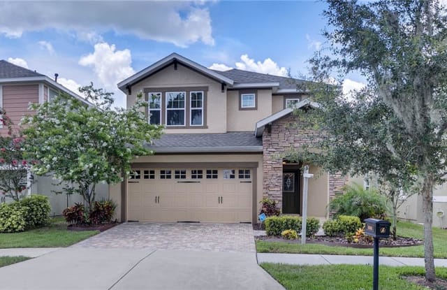 16305 BAYBERRY VIEW DRIVE - 16305 Bayberry View Drive, Fish Hawk, FL 33547