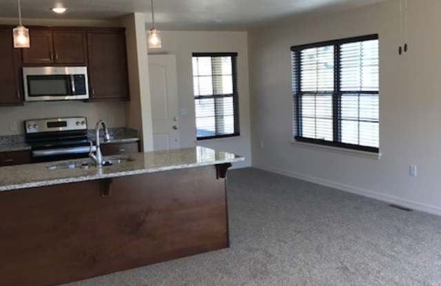3 Bedroom 2 Bath 2 Car Garage For Rent in Branson MO