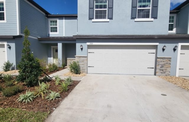 2205 Cerulean Sky Way - 2205 Cerulean Sky Way, Odessa, FL 33558