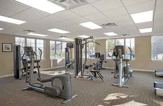 The Apartments at Elmwood Terrace