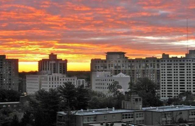 Photo of 8315 BROOK Lane unit: 2-902