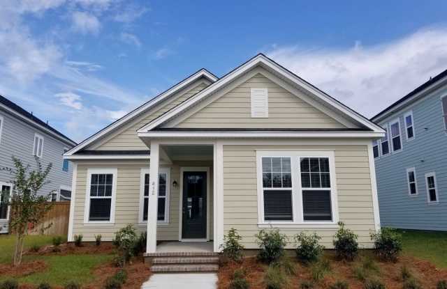 412 Gray Bark Road - 412 Gray Bark Rd, Berkeley County, SC 29486