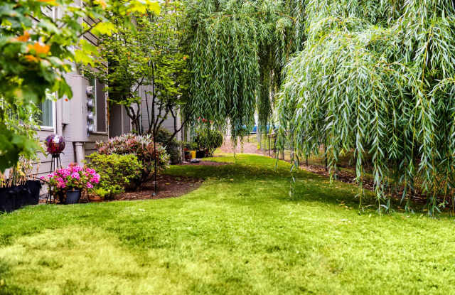 Photo of Cedar Grove