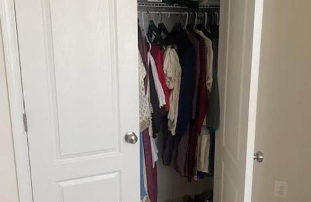 24660 WOOLLY MAMMOTH TERRACE