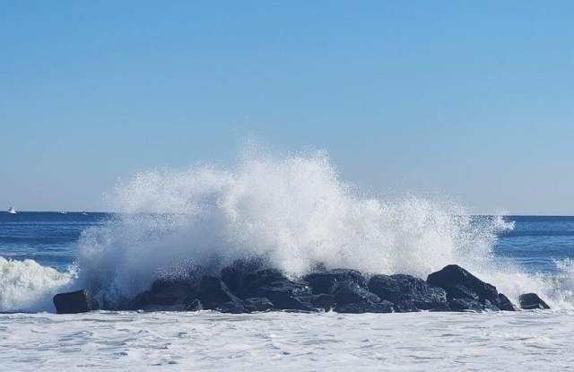 Photo of 260 Ocean Avenue unit: A18