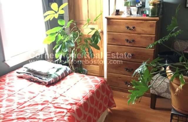 Photo of Large 2 bed in Southie