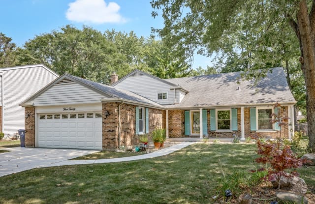 320 South Birchwood Drive - 320 South Birchwood Drive, Naperville, IL 60540