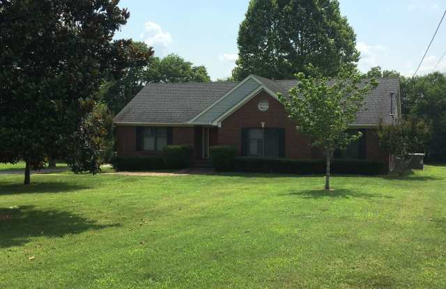 1011 Newman's Trail - 1011 Newmans Trail, Shackle Island, TN 37075