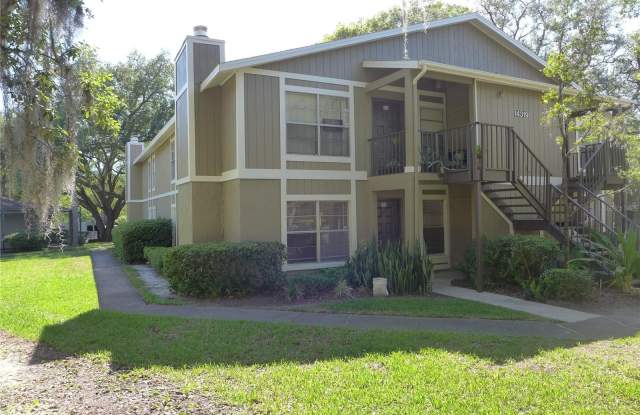 14319 HANGING MOSS CIRCLE - 14319 Hanging Moss Circle, Hillsborough County, FL 33613