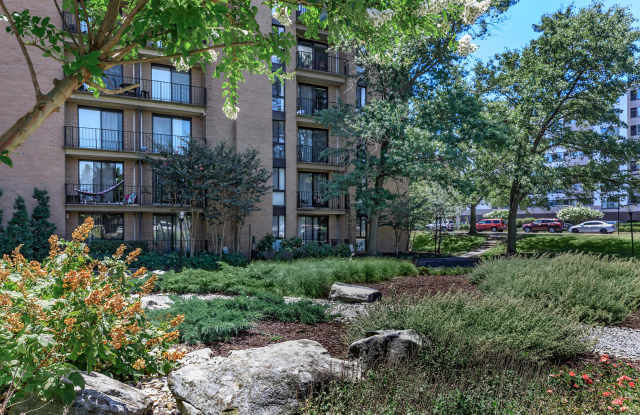 Whitestone at Landmark