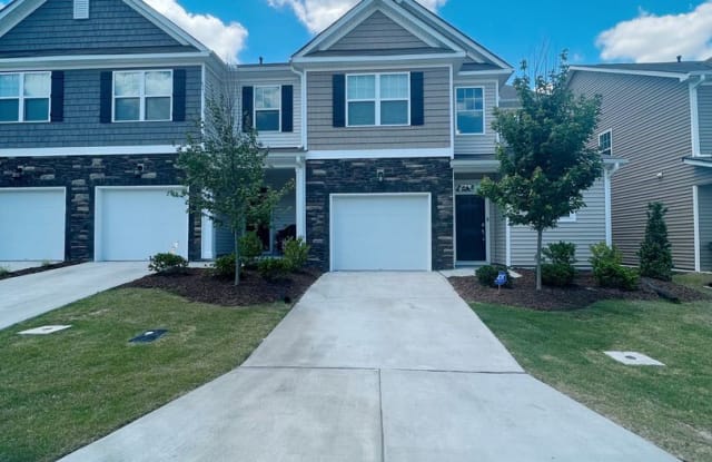 1137 Kindness Ln - 1137 Kindness Lane, Durham County, NC 27703